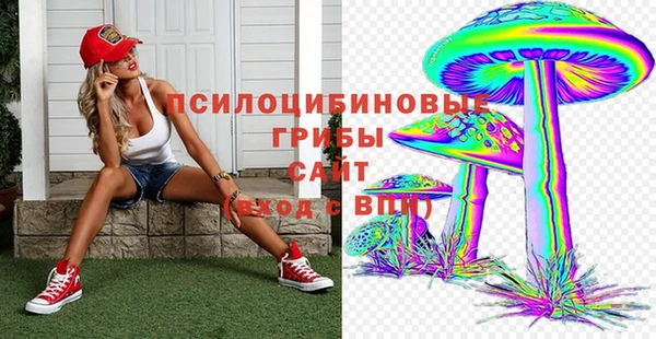 прущие крисы Алексеевка