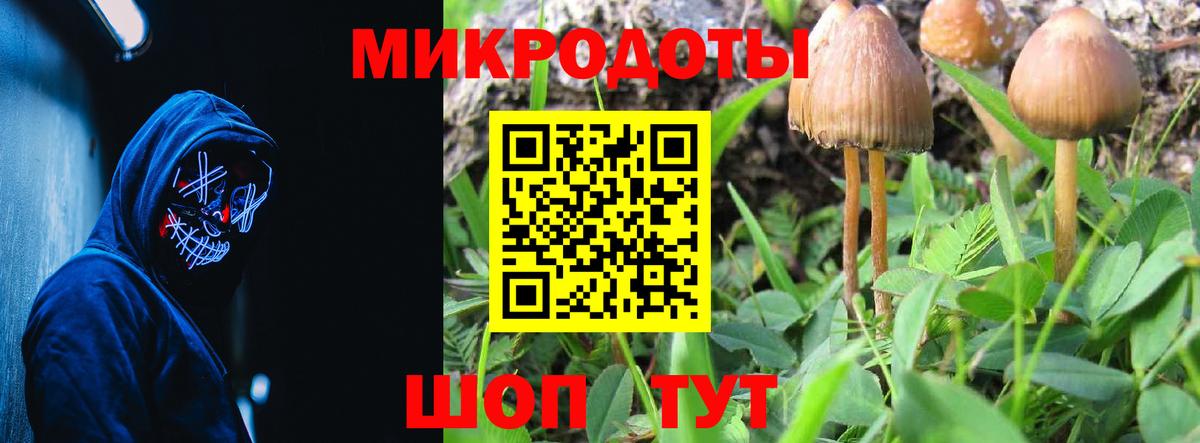 Псилоцибиновые грибы Magic Shrooms Братск